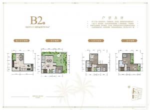 B2150ƽ52