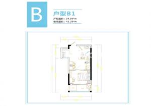 B1 1111 43O