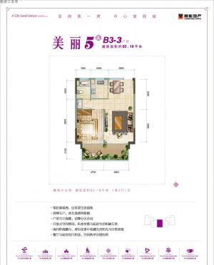 B3-3 1211 65O