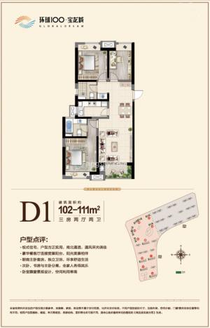 D1102-111O