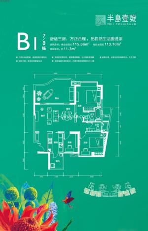 B1ͼ 3221  113O-115O